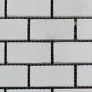 Limra 1x2 Polished Mosaic Tile
