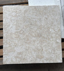 Eastern Shell Limestone 24x24 Brushed Tile
