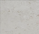 Shell Stone Myra Limestone 12x24 Honed Tile