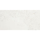 Mediterranean Seashell Brushed Limestone Tile 24x48