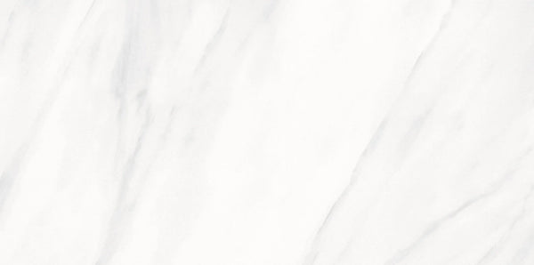 Carrara White 12x24 Porcelain Tile.