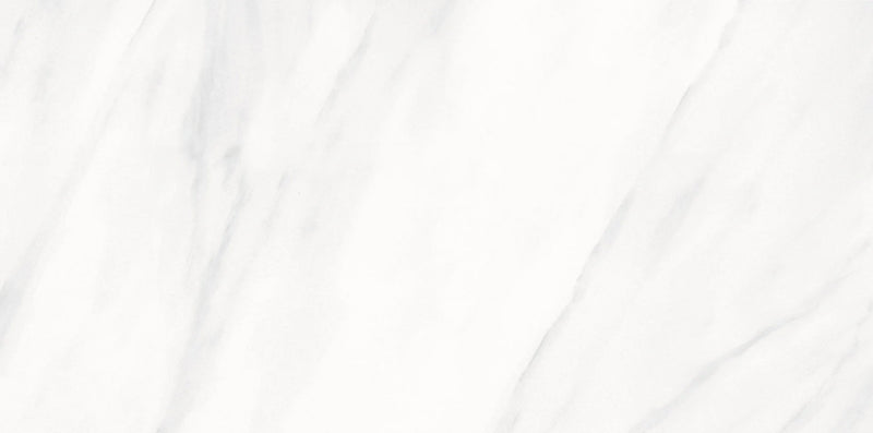 Carrara White 12x24 Porcelain Tile.