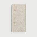 Shell Stone Myra Limestone 12x24 Honed Tile