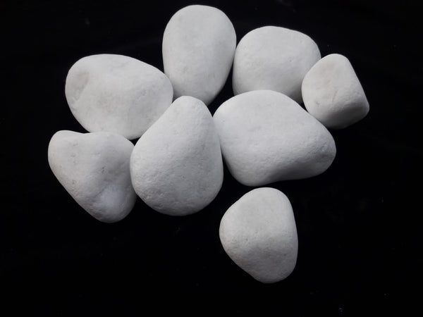 White Natural Rainforest Pebble Stone 2 to 3 inches - 1500 LBS - stoneandtiledepot.com