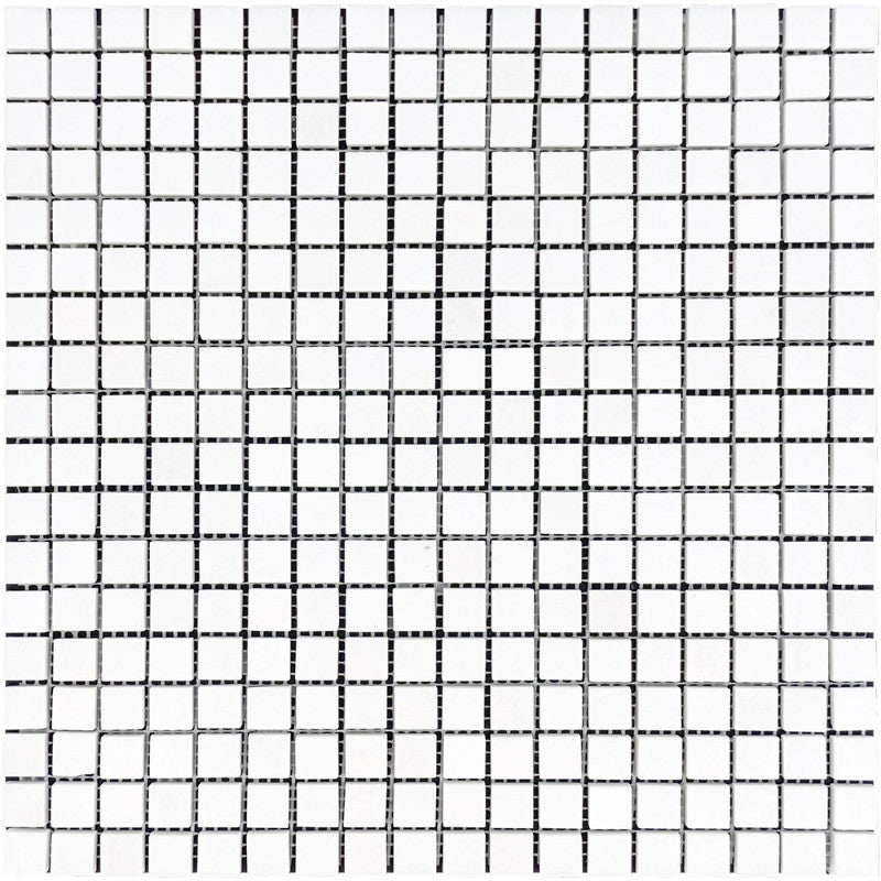 Thassos White Marble 1x1 Honed Mosaic Tile.