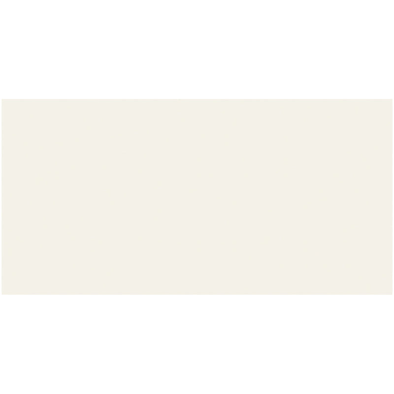 Alpine White Matte 12x24