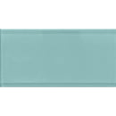 COLOR PALETTE AQUA GLOSS 3x6 glass Mosaic Tile.