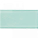 COLOR PALETTE ICE GLOSS glass 3x6 Mosaic Tile.