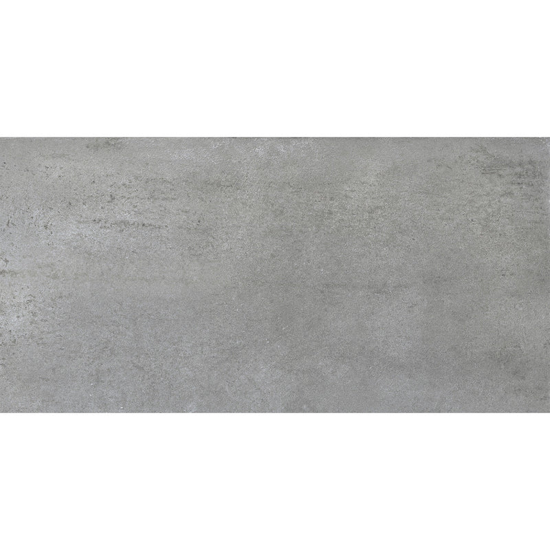 Pewter 12x24