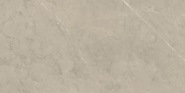Piasentina Ii Silver Po 12x24 R Porcelain Tile.