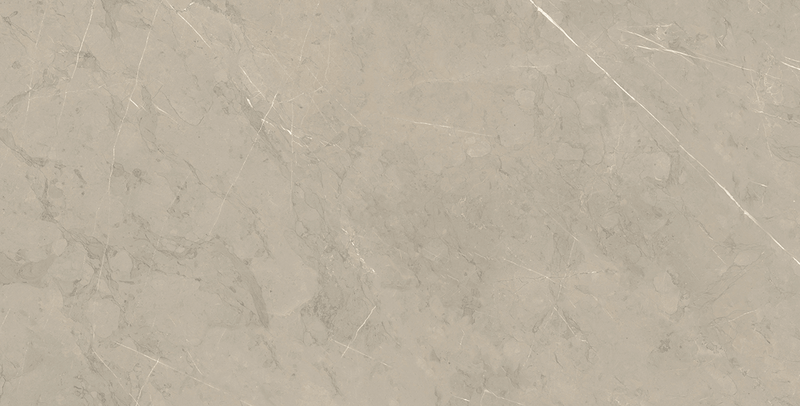 Piasentina Ii Silver Po 12x24 R Porcelain Tile.
