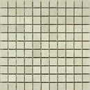 Seagrass Limestone 1x1 Honed Mosaic Tile.