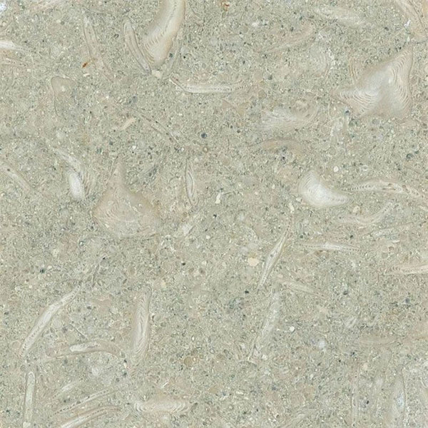 Seagrass Limestone 6x6 Honed Tile.