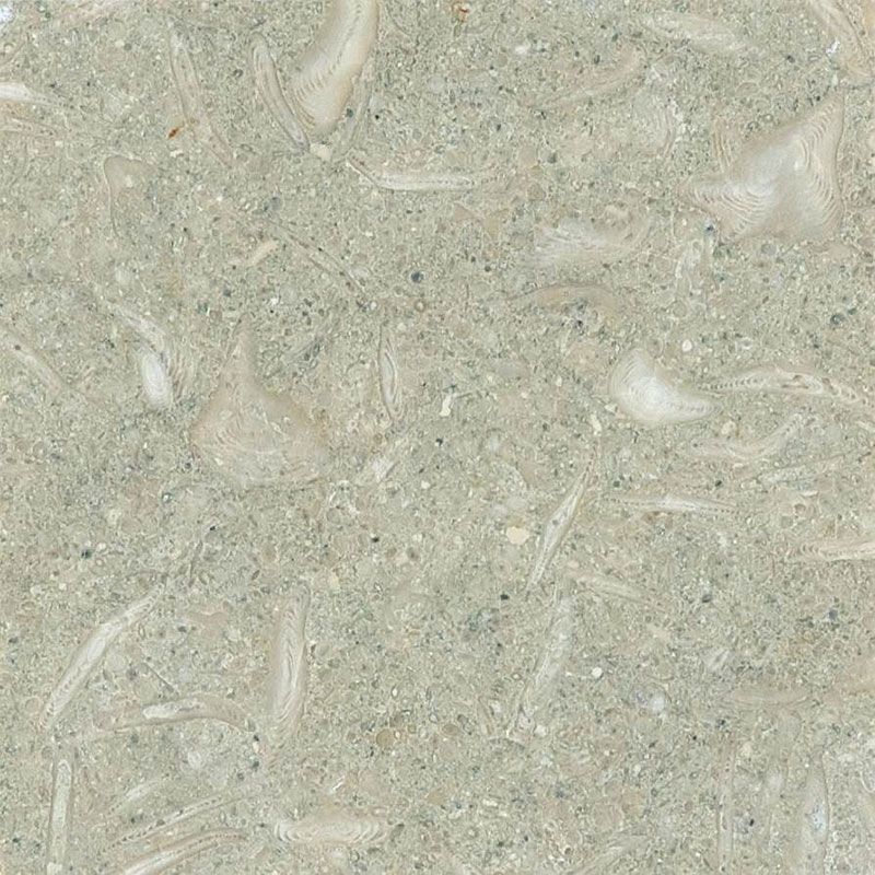 Seagrass Limestone 6x6 Honed Tile.