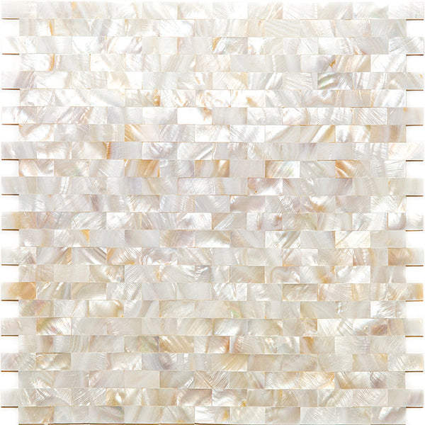SHELL DAYTONA BEACH shell Mosaic Tile.