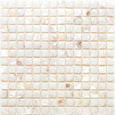 SHELL DEL RAY shell Mosaic Tile.