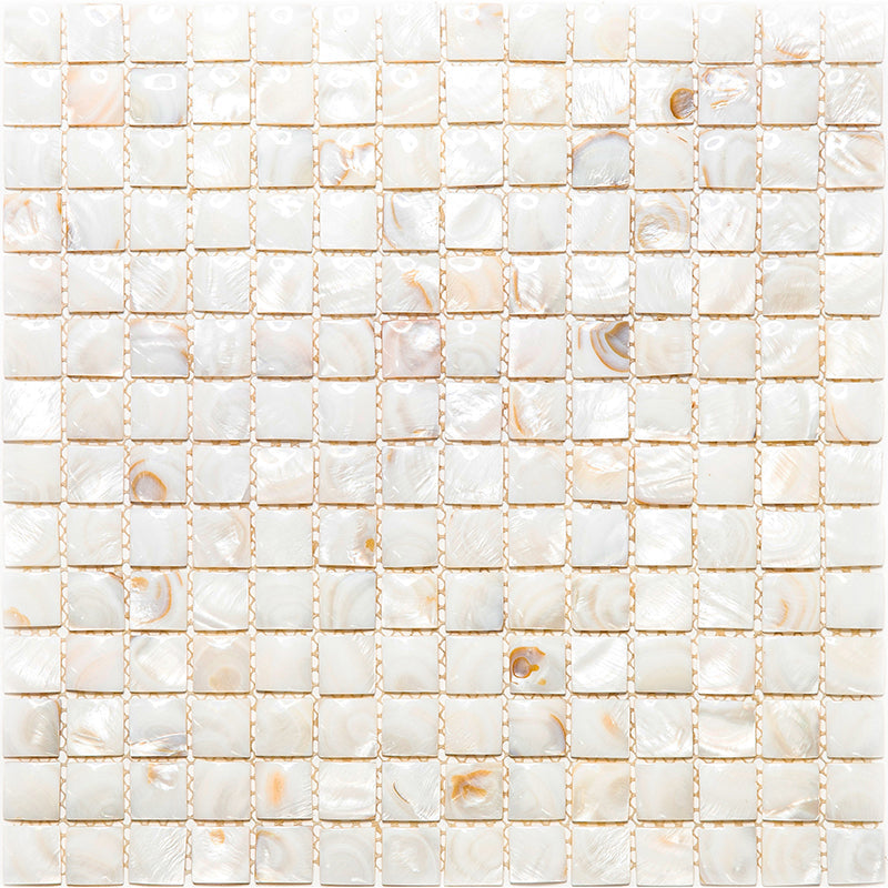 SHELL DEL RAY shell Mosaic Tile.