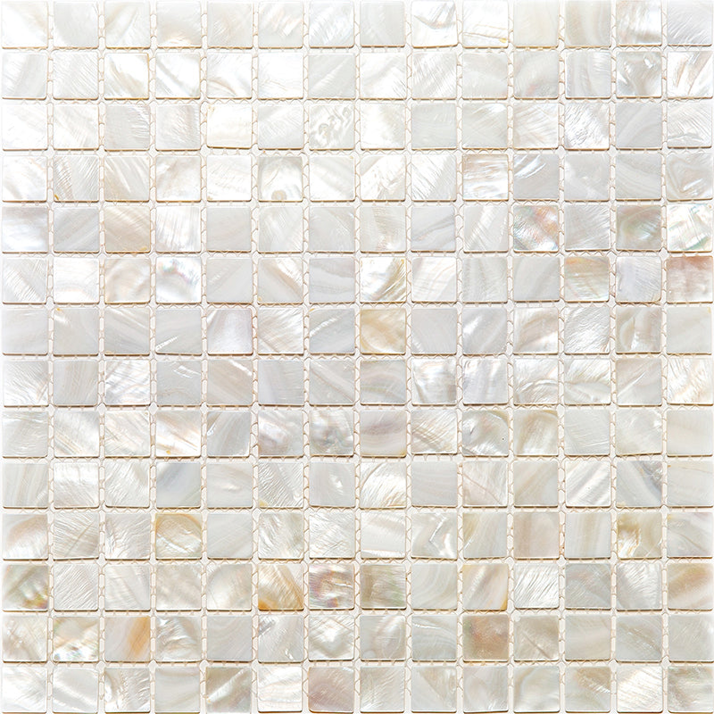 SHELL KEY WEST shell Mosaic Tile | stoneandtiledepot.com