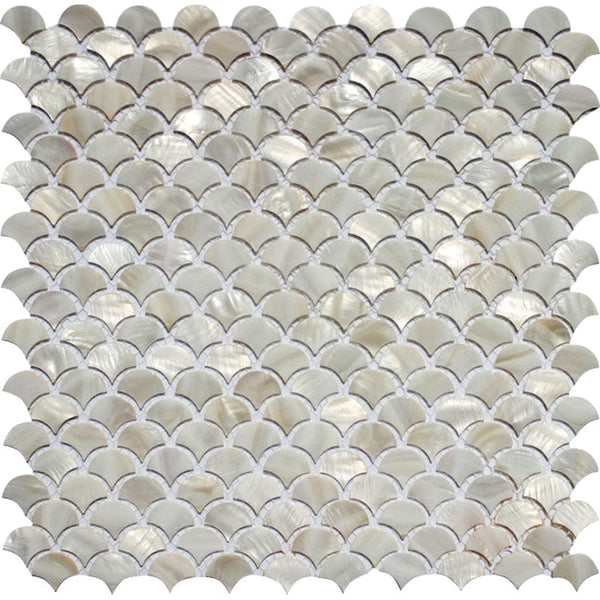 SHELL MALIBU shell Mosaic Tile.