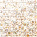 SHELL NAPLES shell Mosaic Tile.