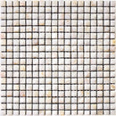SHELL POMPANO shell Mosaic Tile.