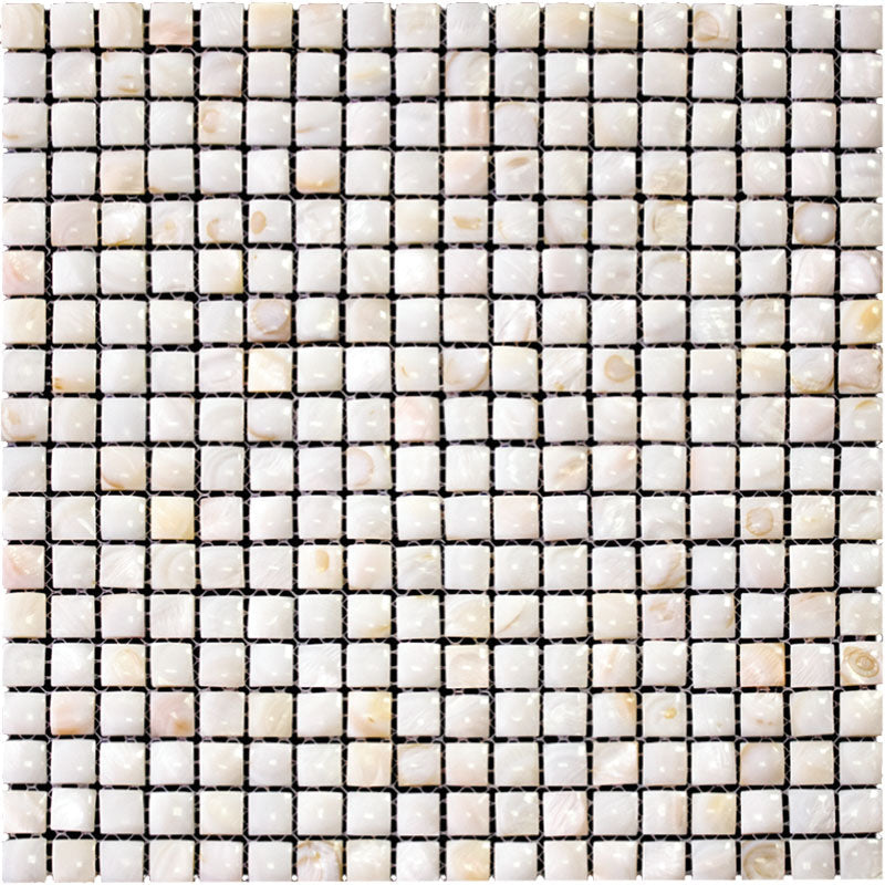 SHELL POMPANO shell Mosaic Tile.