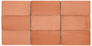 St Tropez Coral 2.5x5 Ceramic Wall Tile.
