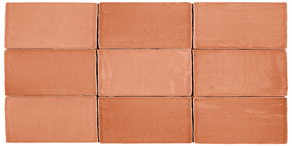 St Tropez Coral 2.5x5 Ceramic Wall Tile.