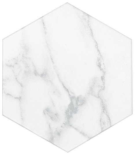 Statuary 8x9 Hexagon Porcelain Tile.