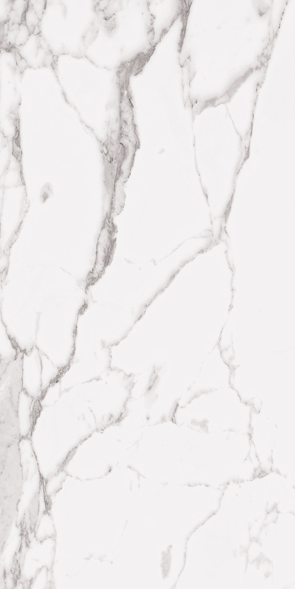 Statuary White 24x48 R Up Porcelain Tile.