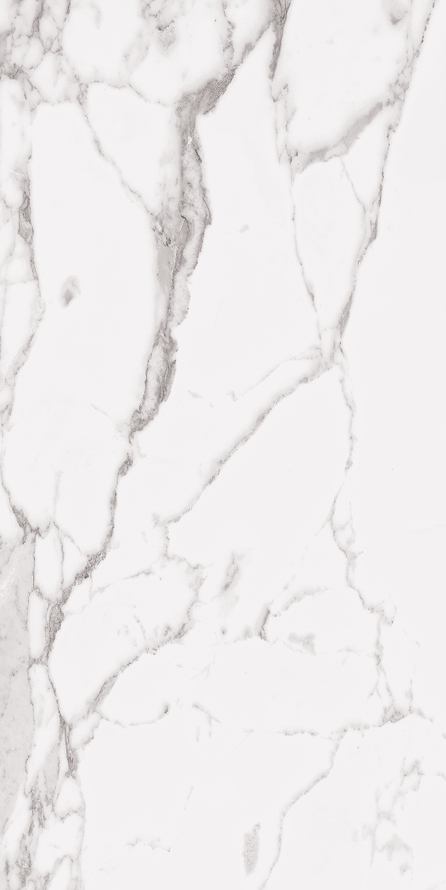 Statuary White 24x48 R Up Porcelain Tile.