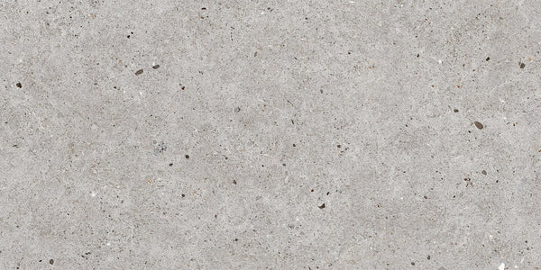 Stone Basel Gris 24x48 R Porcelain Tile.