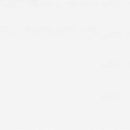 Thassos White Marble 18x18 Honed Marble Tile.