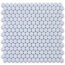 Thassos White Marble Penny Round Polished Mosaic Tile.
