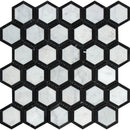 White Carrara Marble 2x2 Hexagon with Black Honed Mosaic Tile.
